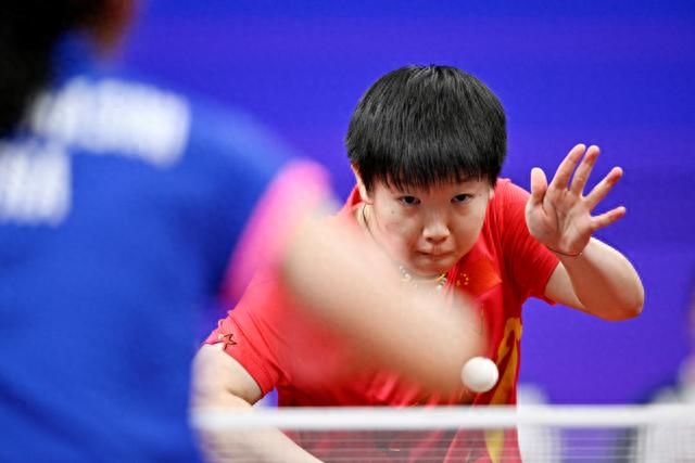 他的经历证 他的经历证