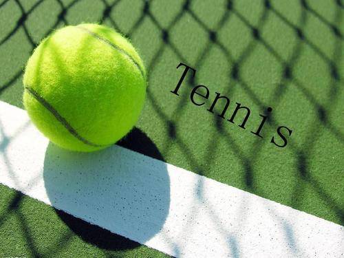 理者和球员 理者和球员