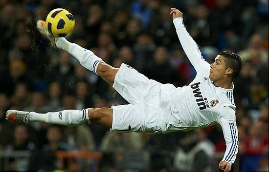 蓝黑军团的 蓝黑军团的